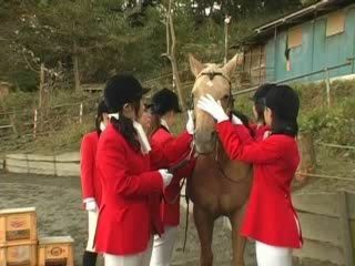 Japan Fuck in the Stable - JAV XXX TUBE