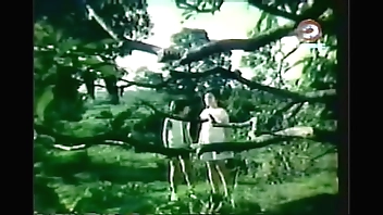 Darna and the Giants (1973)